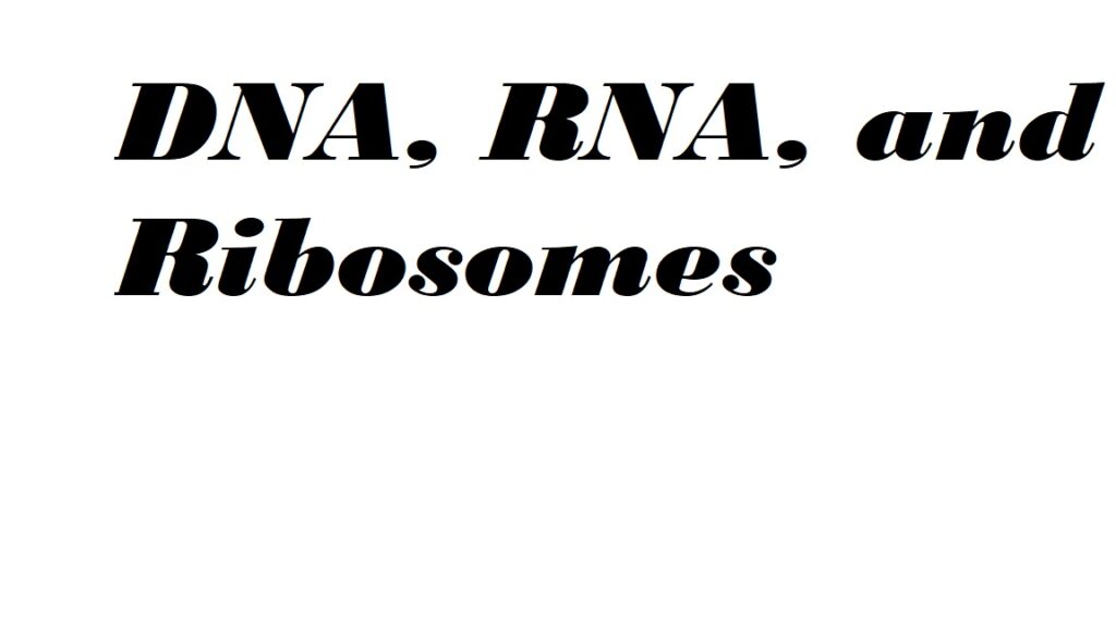 DNA, RNA, and Ribosomes ACT section